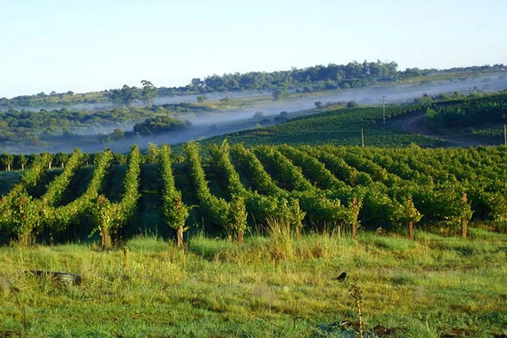 Wineries of the South, Maria Fumaça Train and Italian Epic Park