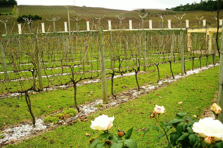 Wineries of the South, Maria Fumaça Train and Italian Epic Park
