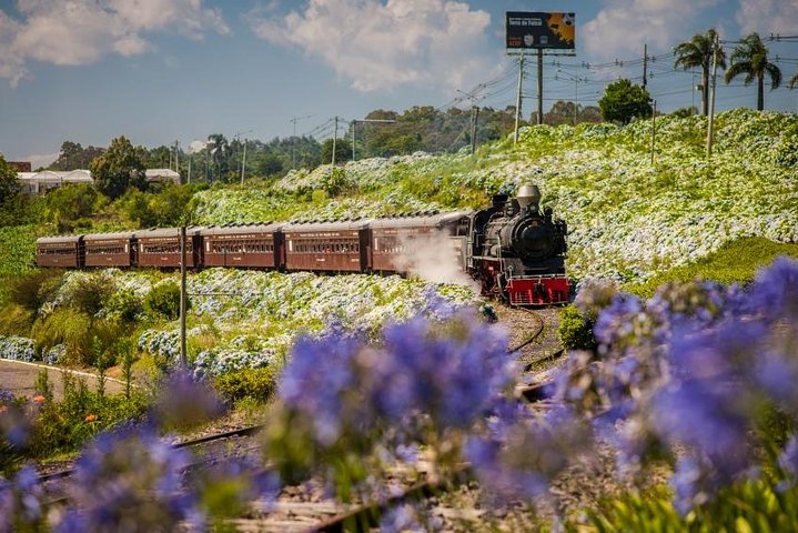 Wineries of the South, Maria Fumaça Train and Italian Epic Park