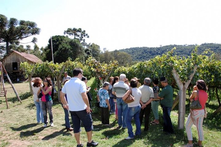 Wineries of the South, Maria Fumaça Train and Italian Epic Park