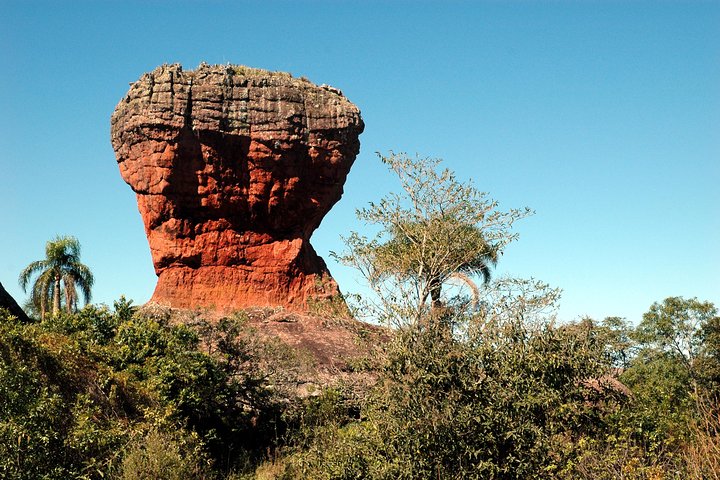 Discover Vila Velha State Park Tour and Witmarsum Colony