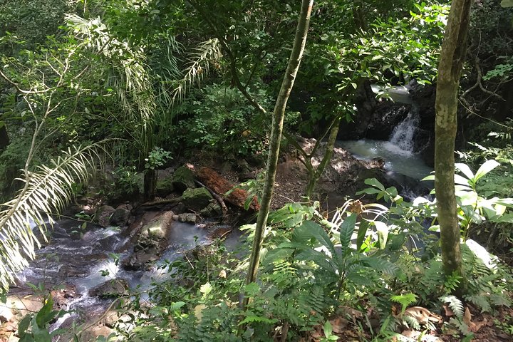 Soberania National Park Hike
