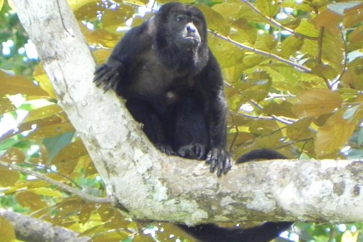 Soberania National Park Hike