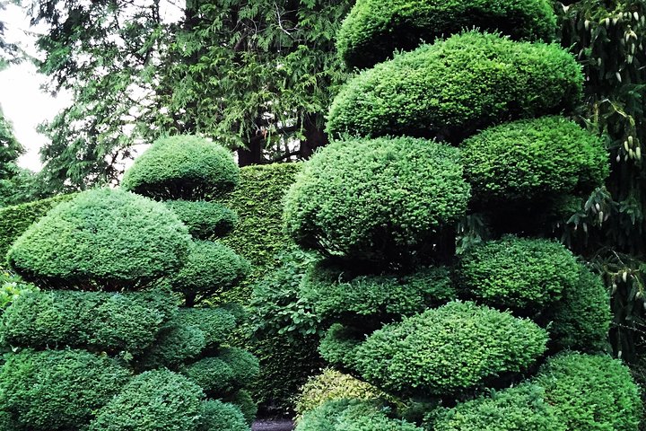 COMBO Victoria City Tour & Butchart Gardens & Entry Tix