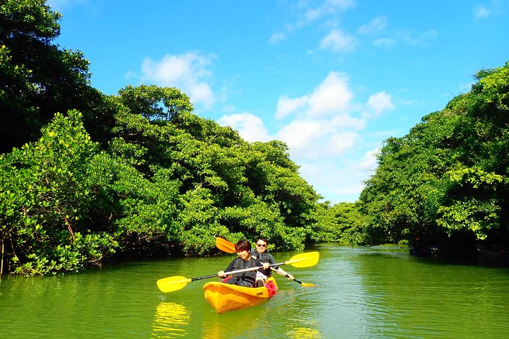 Ishigaki Mangrove SUP or Canoe + Blue Cave Snorkeling