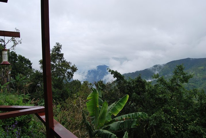 Blue Mountains Peak Hike