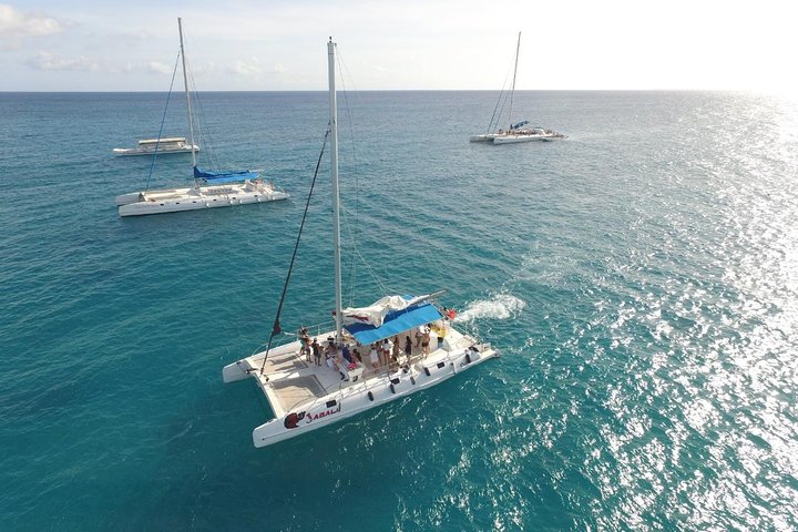 Saona Island Day Trip From Punta Cana with Lunch and Open Bar