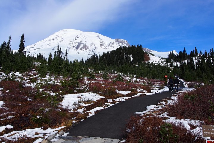 Mt. Rainier Day Tour from Seattle