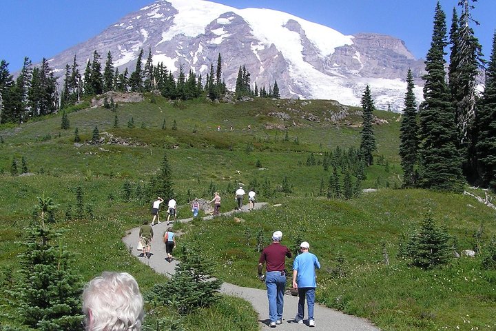 Mt. Rainier Day Tour from Seattle