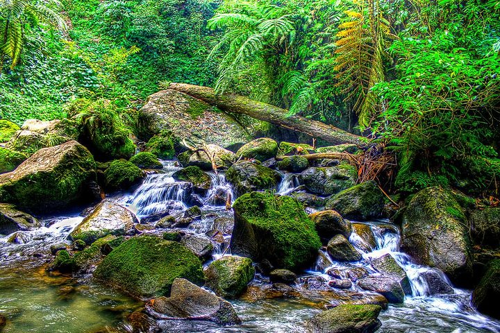 Dumaguete Casaroro Falls & Balinsasayaw Twin Lakes Tour