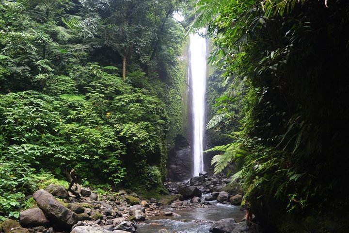 Dumaguete Casaroro Falls & Balinsasayaw Twin Lakes Tour