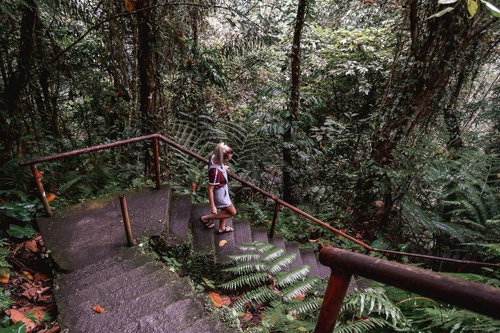Dumaguete Casaroro Falls & Balinsasayaw Twin Lakes Tour