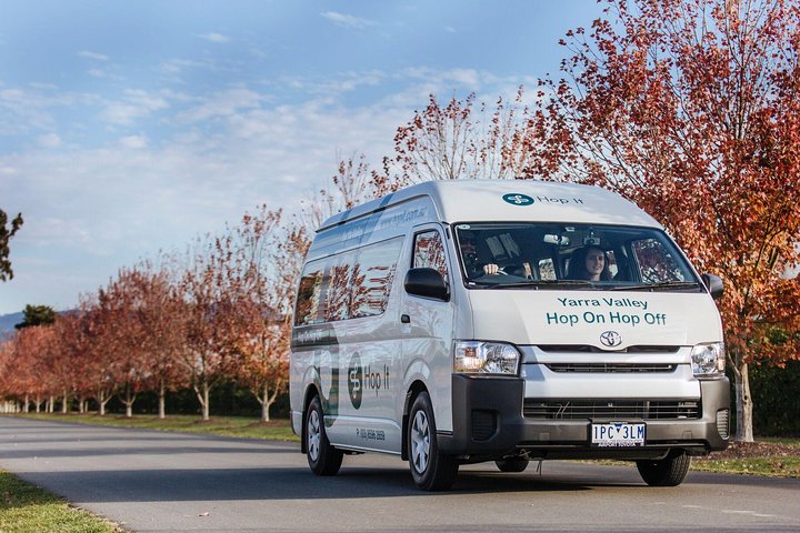 From Melbourne: Hop On Hop Off Yarra Valley - GREEN Route