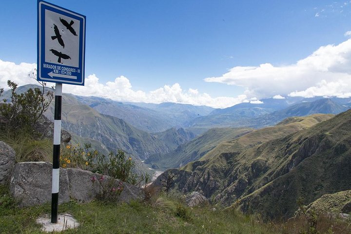 Exclusive Condor Observatory Tour: Chonta Canyon from Cusco