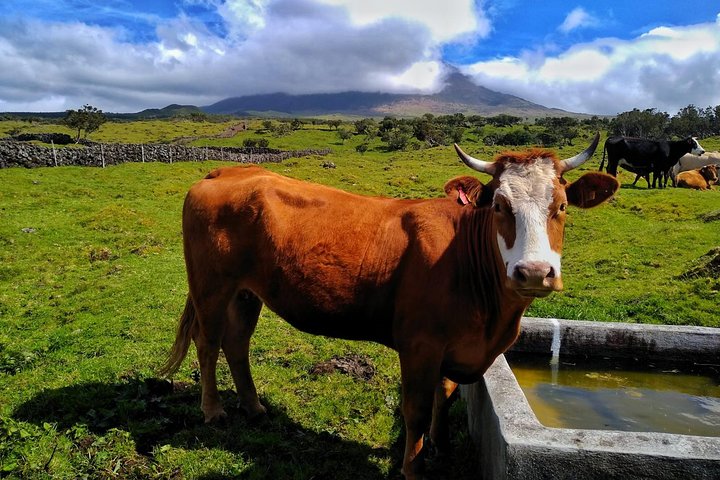 Pico Island Route
