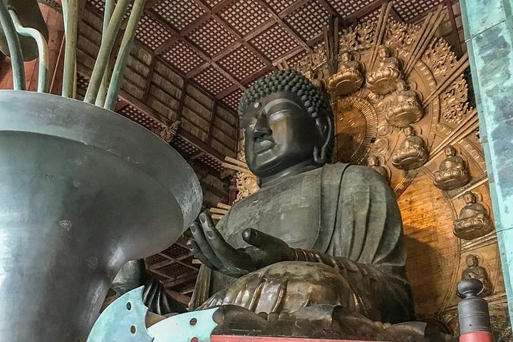 Nara Private Day Trip - Enjoy Your First-Time Visit to Nara!