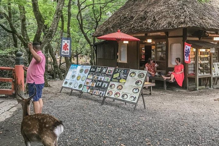 Nara Private Day Trip - Enjoy Your First-Time Visit to Nara!