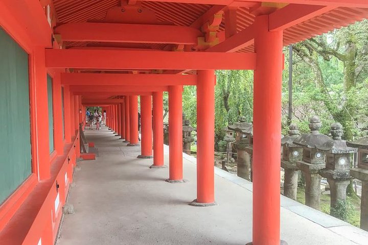 Nara Private Day Trip - Enjoy Your First-Time Visit to Nara!