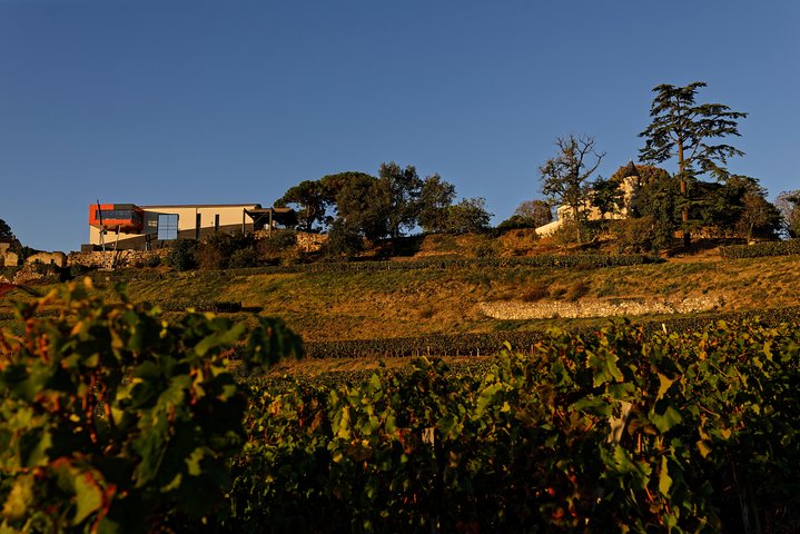 Saint-Emilion Grand Cru Classified: Visit & Tasting in French