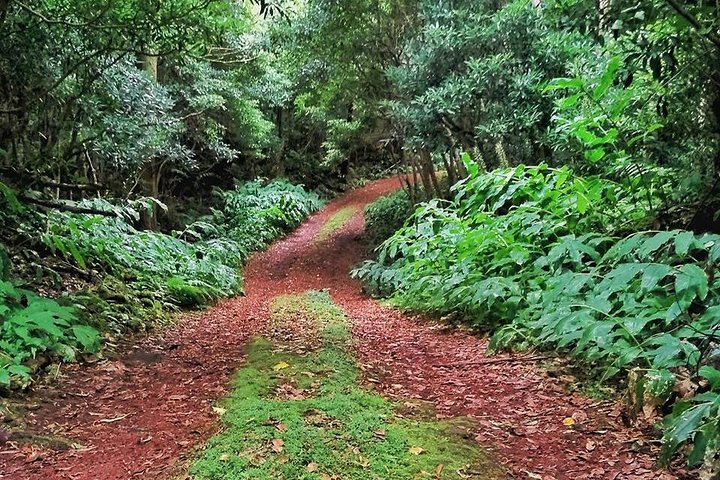 Pico Island Route