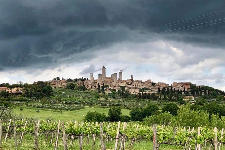 Private Tour in Siena, San Gimignano and Chianti Day Trip from Florence