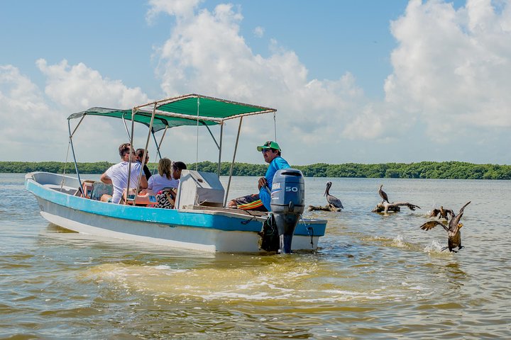 Rio Lagartos guided boat tour- Ek Balam from Valladolid