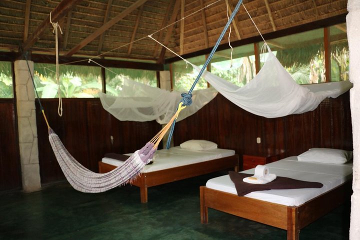 3 days 2 nights - Tambopata Jungle