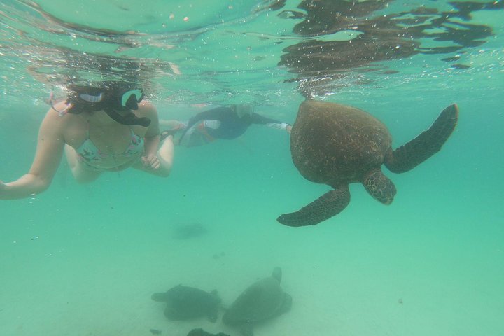 4 Day Galapagos Complete Experience Extra Night
