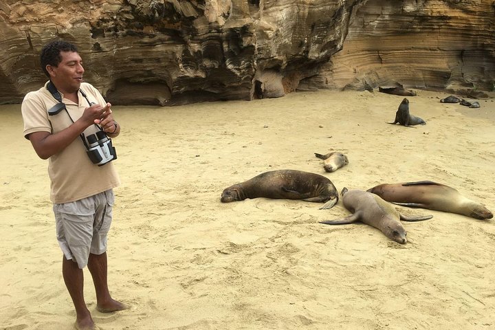 4 Day Galapagos Complete Experience Extra Night