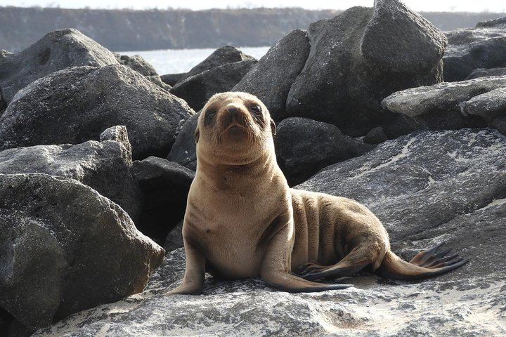 4 Day Galapagos Complete Experience Extra Night