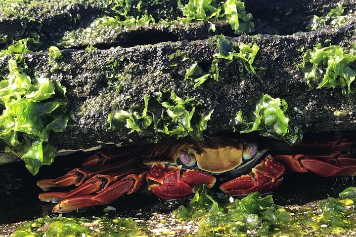 4 Day Galapagos Complete Experience Extra Night