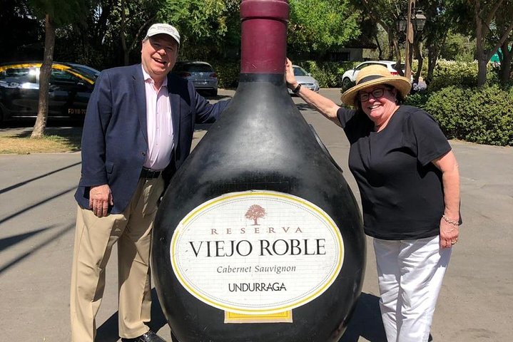 Pre or Post San Antonio Cruise with Santiago City Tour and optional Vineyard