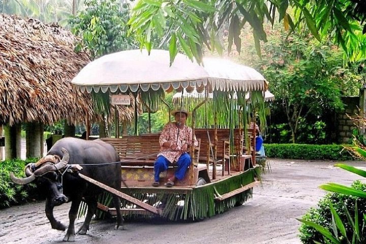 Villa Escudero Coconut Plantation Day Trip from Manila