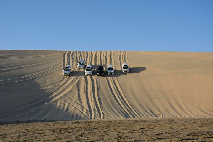 Desert safari, Dune bashing, sandboarding, camel, ATV Option
