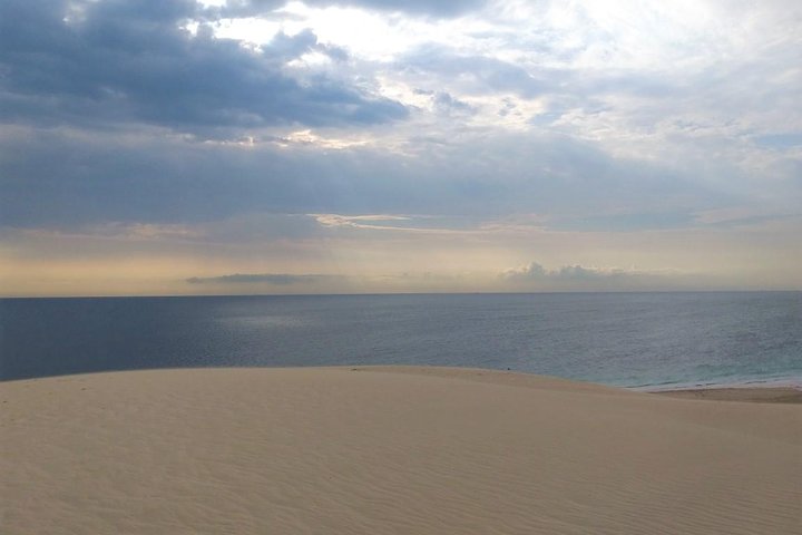 Desert safari, Dune bashing, sandboarding, camel, ATV Option