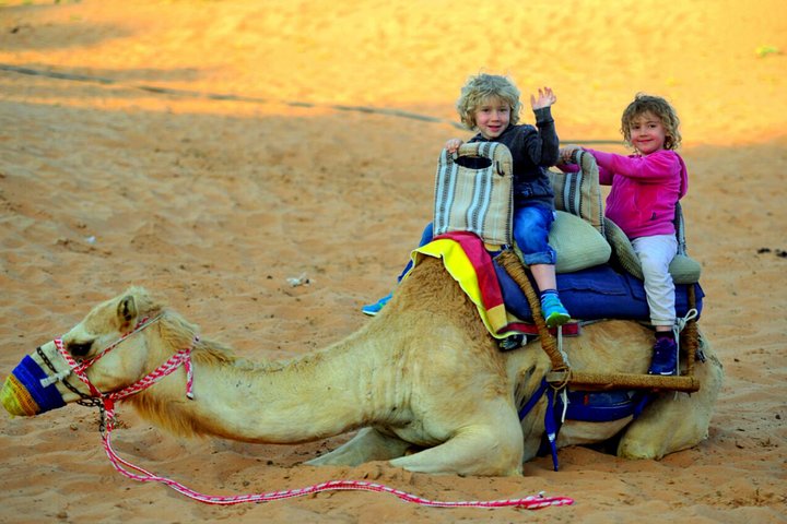 RAK Dinner In the Desert with RAK Transfer on Sharing Basis