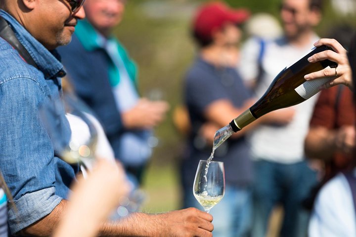 Napa and Sonoma Wine Country Full-Day Tour from San Francisco