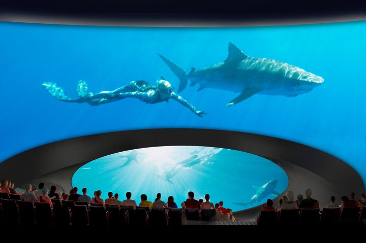 Skip the Ticketing Line: Aquarium of the Pacific General Admission Ticket