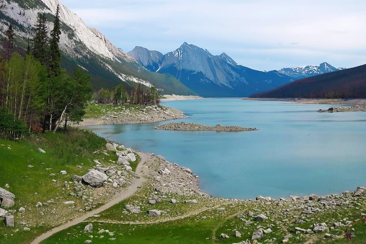 Jasper Wildlife and Sightseeing Tour with Maligne Lake Hike
