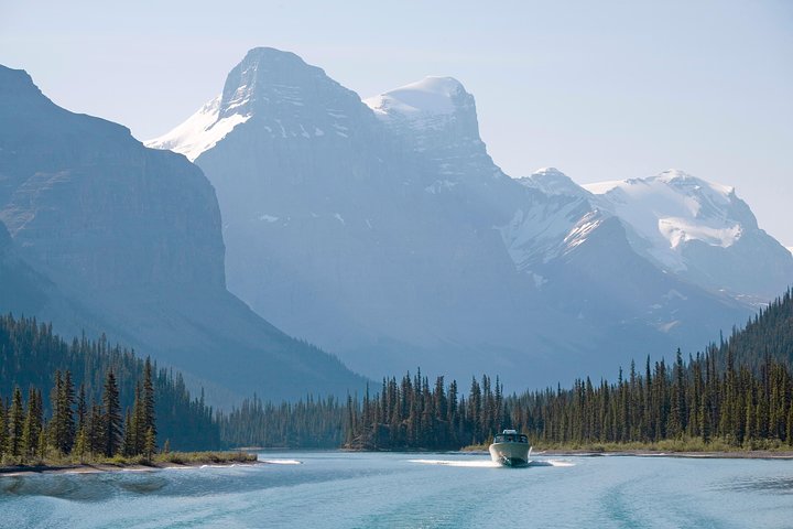 Jasper Wildlife & Sightseeing Tour with Maligne Lake Cruise