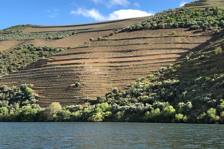 Douro Valley private wine tour | tastings and lunch included
