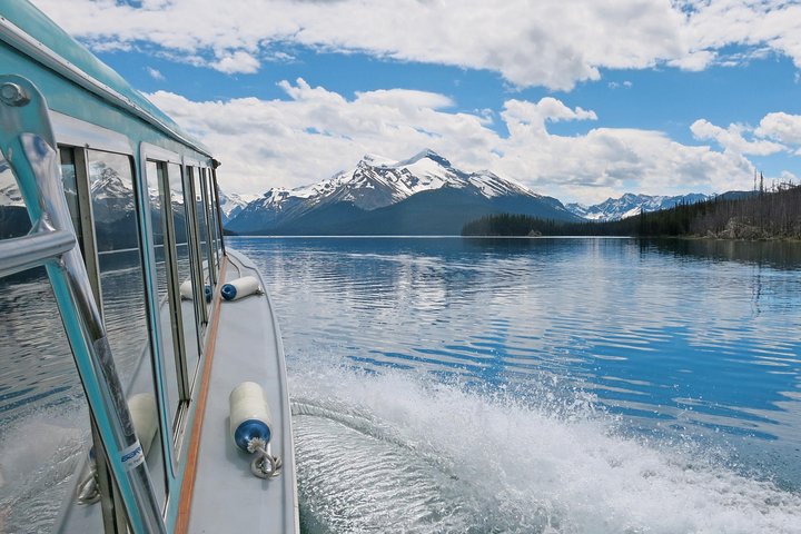Jasper Wildlife & Sightseeing Tour with Maligne Lake Cruise