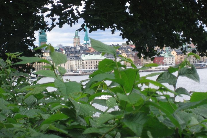 Stockholm Top attractions all-inclusive Grand Tour