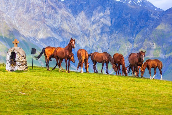 Highlights of Caucasus Mountains-Jinvali,Ananuri,Gudauri,Kazbegi(Group tour)