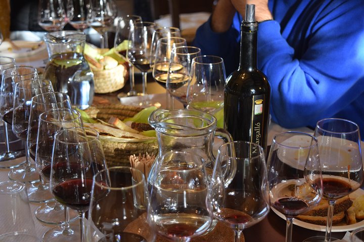 Guided Wine and Olive oil tasting