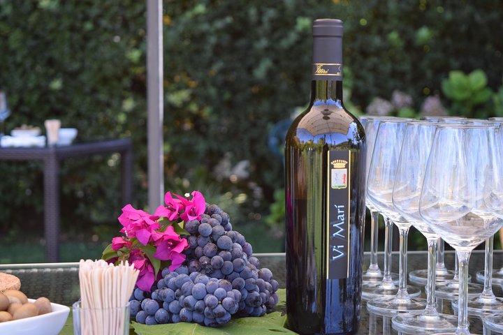 Guided Wine and Olive oil tasting