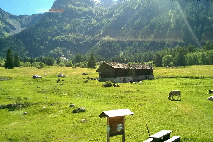 Bernina Red Train, Swiss Alps & St Moritz From Milan