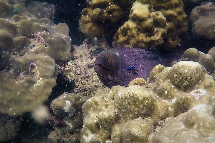 Local Reef Snorkelling and Deserted Beach