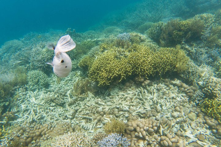Coron Island Tour B (Private)