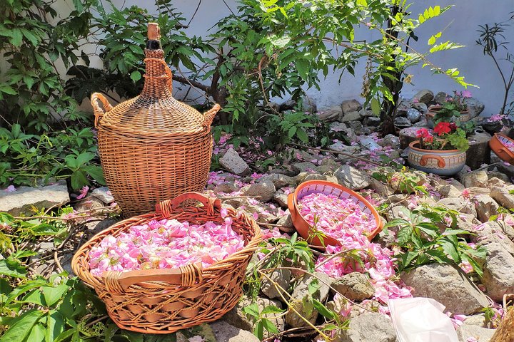 Picking Roses Workshop & Extracting Rose Oil in the Rose Valley